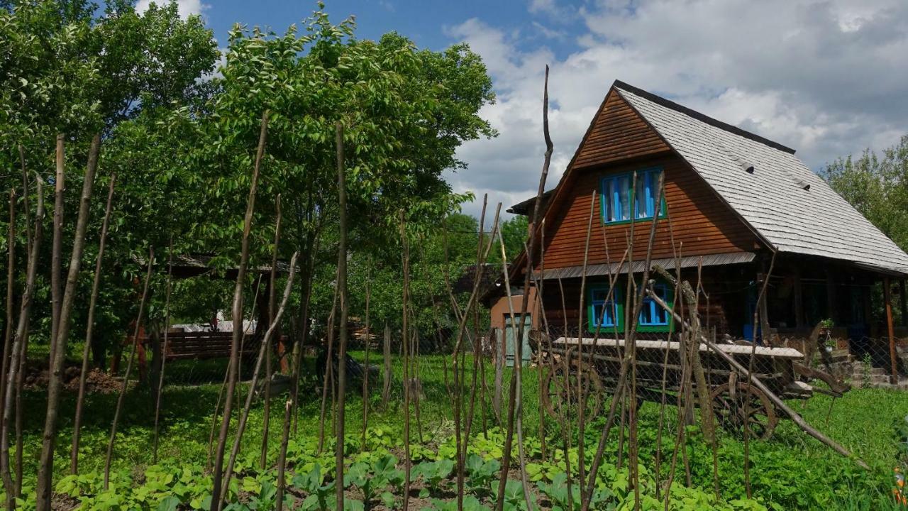 Gasthaus Breb 418, Casa Opris Exterior foto